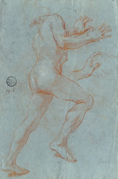 Study of a Male Nude by Giovanni Antonio Grecolini